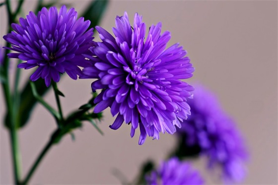 十月心情励志祝福语录