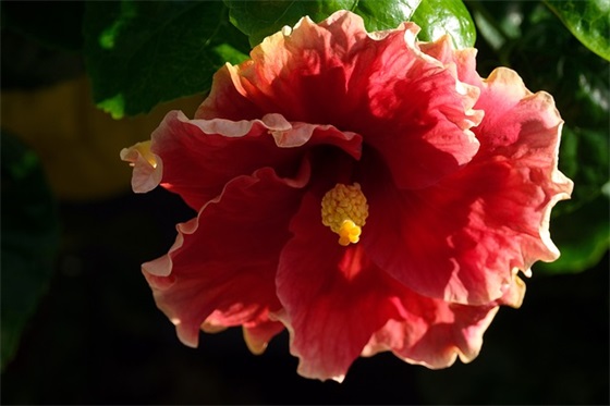 初三考试祝福语32句 初三考试祝福语32句