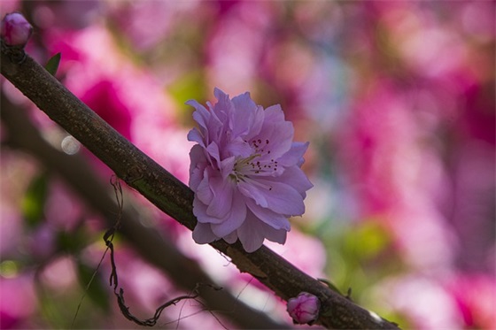 祝福考试成功的话搞笑 祝福考试成功的吉利话 祝福考试成功的话搞笑 祝福考试成功的吉利话