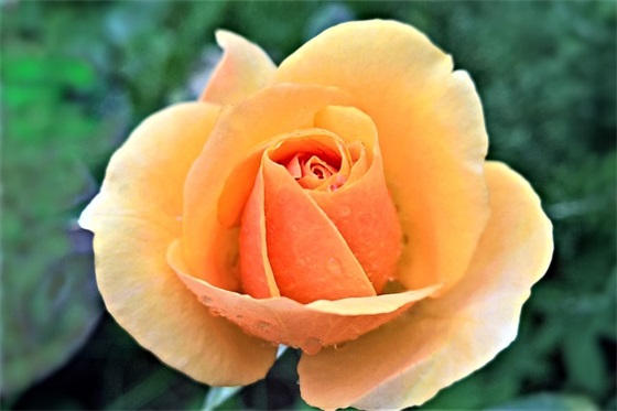 祝老师教师节的一句话简短(教师节快乐祝福语简短句子)