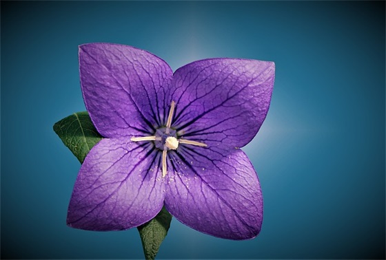 对哥哥的新婚祝福语 妹妹对哥哥的新婚祝福语 对哥哥的新婚祝福语 妹妹对哥哥的新婚祝福语