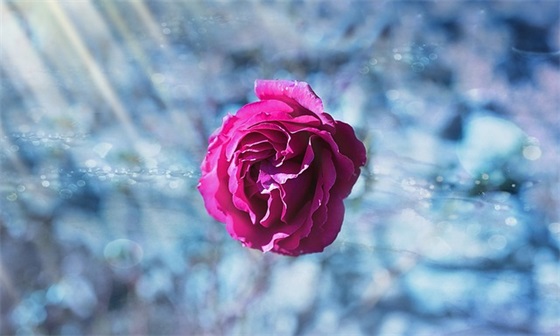 学生生日祝福语简短独特 中学生生日祝福语 学生生日祝福语简短独特 中学生生日祝福语