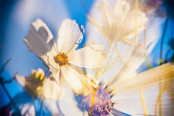 儿童祝福语英文 儿童祝福语英文