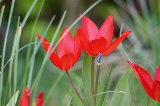 回复平安到家的祝福语