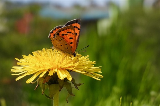 2025年双十一的句子语录80句(精选) 2025年双十一的句子语录80句(精选)