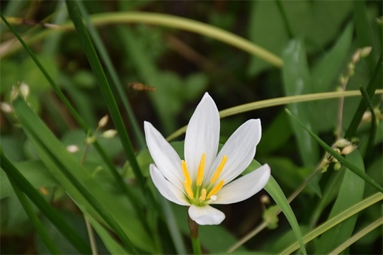 关于心情不好伤感朋友圈说说 唯美到心碎的句子简短