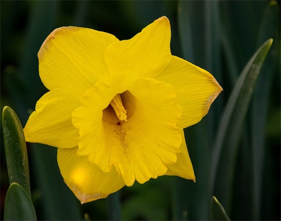 关于有哲理的句子 有深意的人生哲理