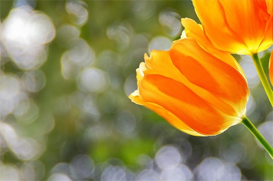 关于描写大山的句子短句精选72条(全网精选) 关于描写大山的句子短句精选72条(全网精选)