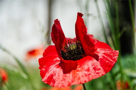 关于晚安深入人心的感情句子87句（最新整理）