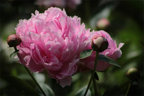 高考加油语录简短霸气(高考加油语录简短霸气的句子) 高考加油语录简短霸气(高考加油语录简短霸气的句子)