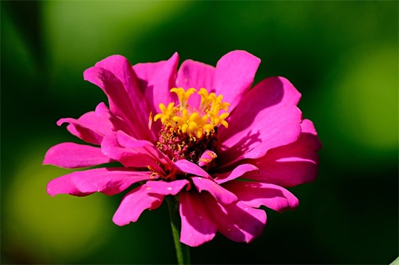 关于亲子教育正能量句子精选111条(全网精选) 关于亲子教育正能量句子精选111条(全网精选)