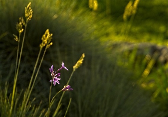 关于晚安语录正能量的句子适合发朋友圈2025 关于晚安语录正能量的句子适合发朋友圈2025