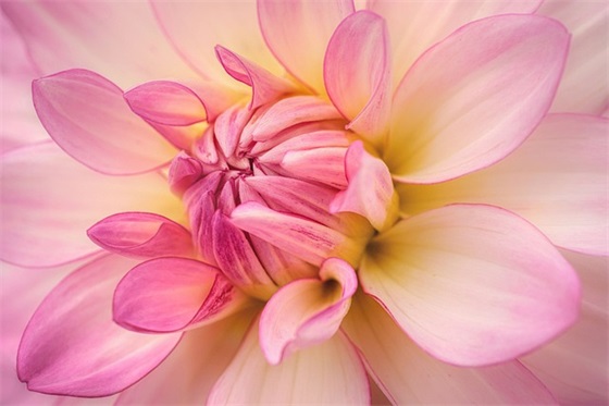 超级美好的短语句子(精选) 超级美好的短语句子(精选)