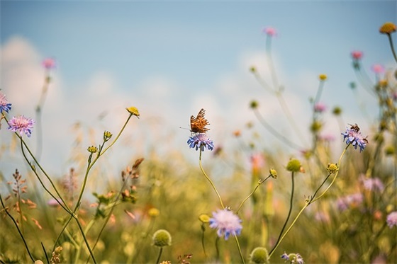 我喜欢你的文案句子 表白的话真实点的短句 我喜欢你的文案句子 表白的话真实点的短句