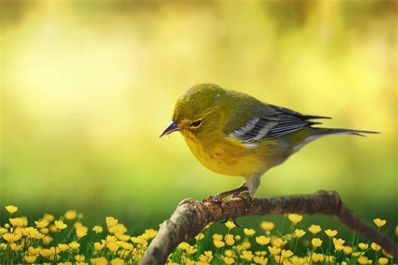 你在我心里重要的短句 2026年表达很在乎对方的句子