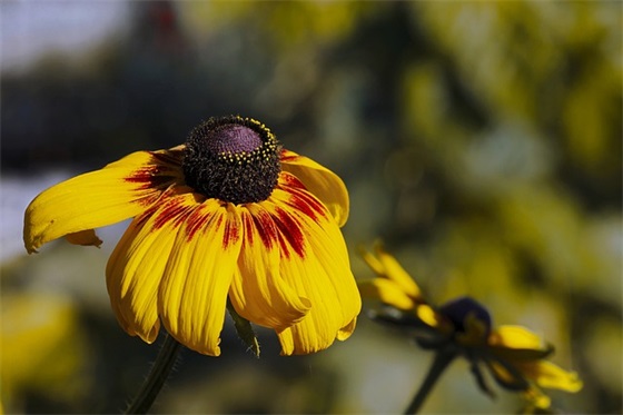 2026搞笑精辟句子 最精辟最火句子 2026搞笑精辟句子 最精辟最火句子