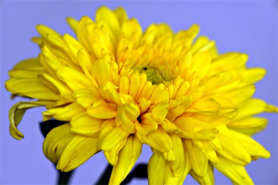 高三青春励志句子78句