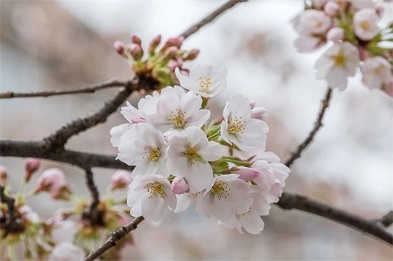 郁闷的心情句子 形容郁闷心情的短语