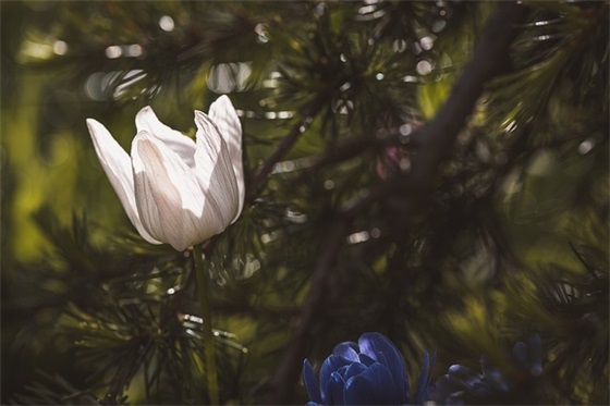 奋青的励志句子81句