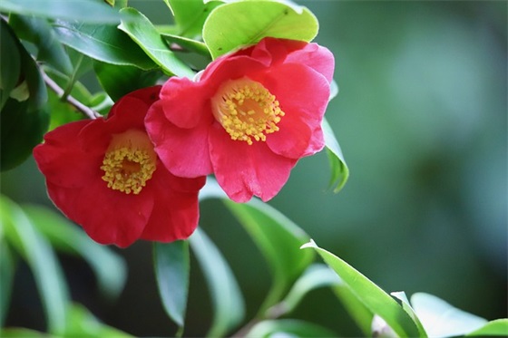 毕业的句子简单到哭的 毕业离别的文艺短句子 毕业的句子简单到哭的 毕业离别的文艺短句子