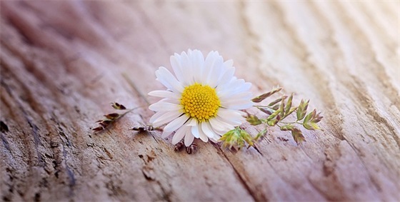 生活坚强靠自己的句子 过好自己的生活句子