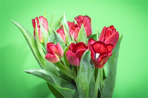 形容女人保养的句子 形容女人保养的句子