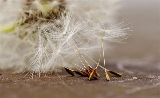 尊严与爱情的句子 尊严被感情践踏的句子 尊严与爱情的句子 尊严被感情践踏的句子
