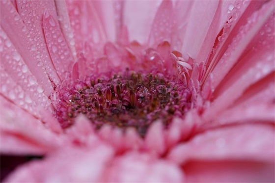 绝情句子 绝情句子