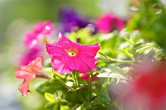 正能量句子霸气十足2026精选 抽烟句子霸气十足 正能量句子霸气十足2026精选 抽烟句子霸气十足