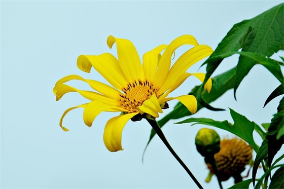 夸人优秀的句子精选