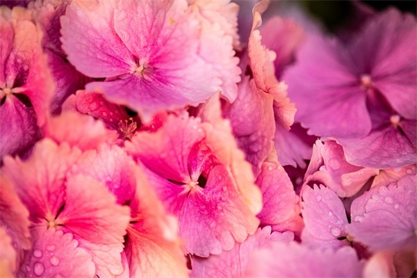 微信早安问候语 特别暖心的早上祝福语