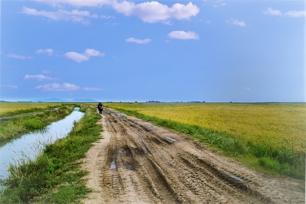 女朋友送花祝福语83句 女朋友送花祝福语83句