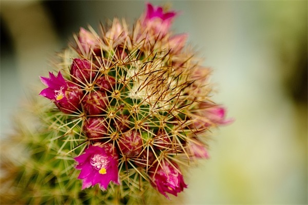儿童满月祝福语大全
