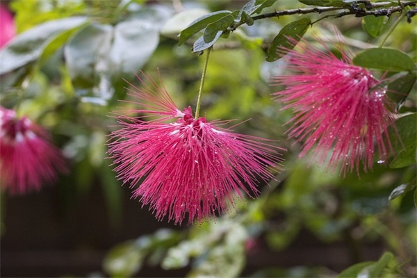 说给考试人的祝福语 考试顺利的祝福语