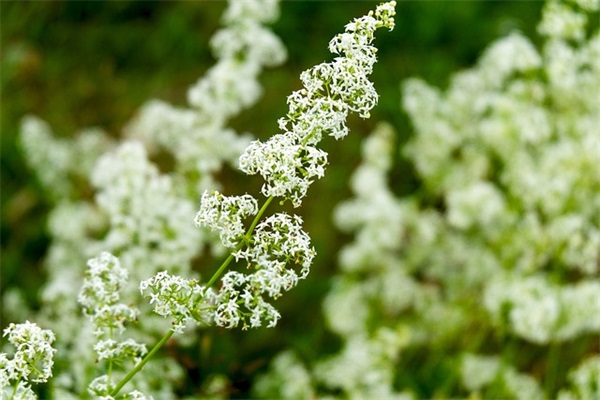 万圣节朋友圈祝福语搞怪