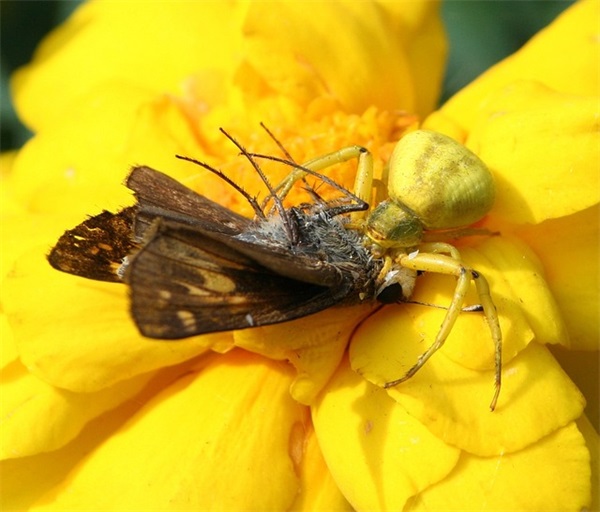 工作室一周年祝福语38句 工作室一周年祝福语38句