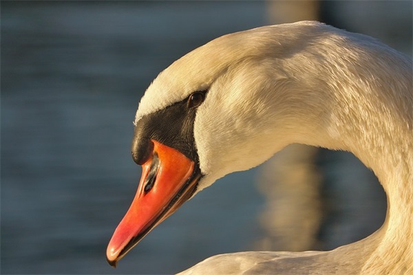 关于病人祝福的话语 关于病人祝福的话语