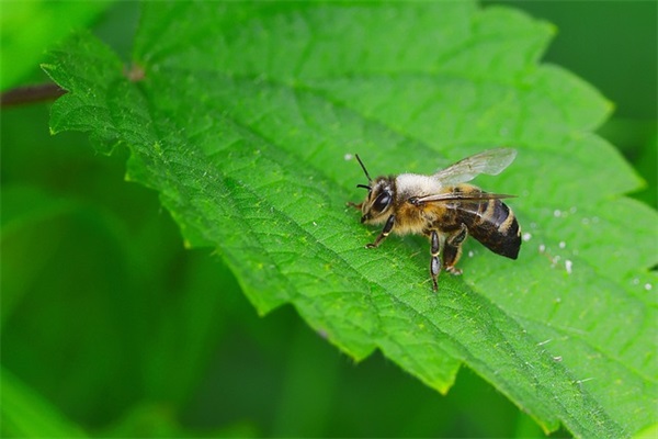 最新的出差祝福短信大全 祝福短信大全