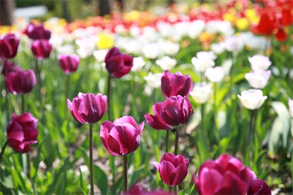 卡片上的生日祝福语 卡片上的生日祝福语