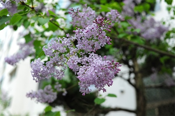 领导退休祝福语43句