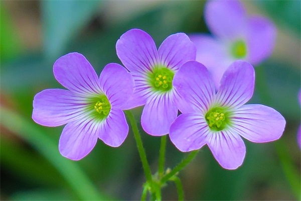 英文升学祝福语56句