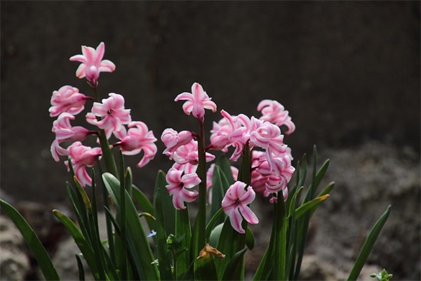 温暖浪漫的生日祝福语