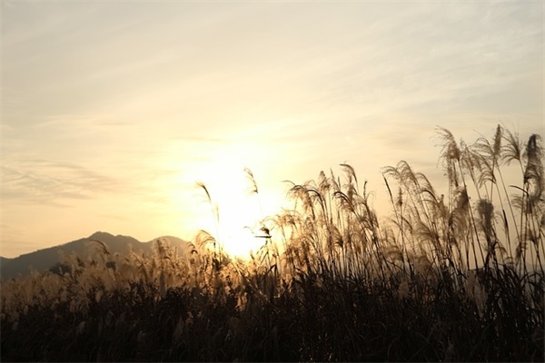 写给男友的生日祝福语 写给男友妈的生日祝福 写给男友的生日祝福语 写给男友妈的生日祝福
