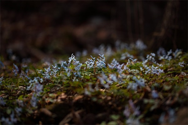 2026对公司的祝福语大全 对公司的祝福语