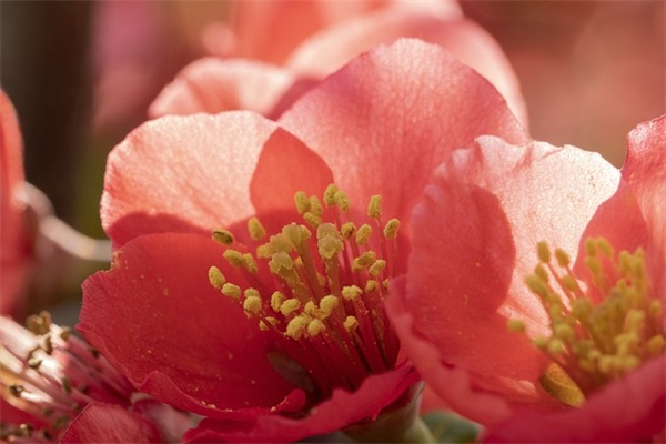 举国庆祝的国庆节祝福语