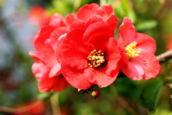 对自己生日的祝福语 对自己生日的祝福语