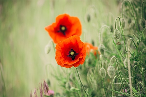 领导生日祝福语简短 领导生日祝福语简短大方