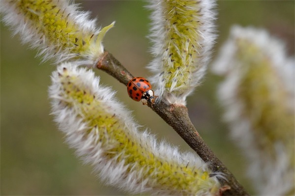 5岁小朋友生日祝福语 5岁男小朋友生日祝福语
