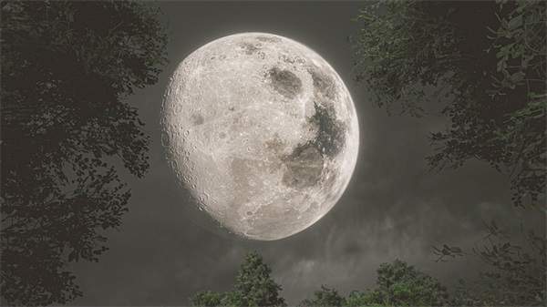 女同事离职祝福语30句