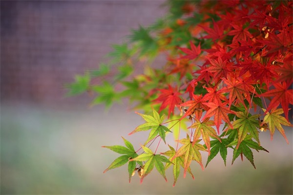 闺蜜的温暖生日祝福语 闺蜜的温暖生日祝福语